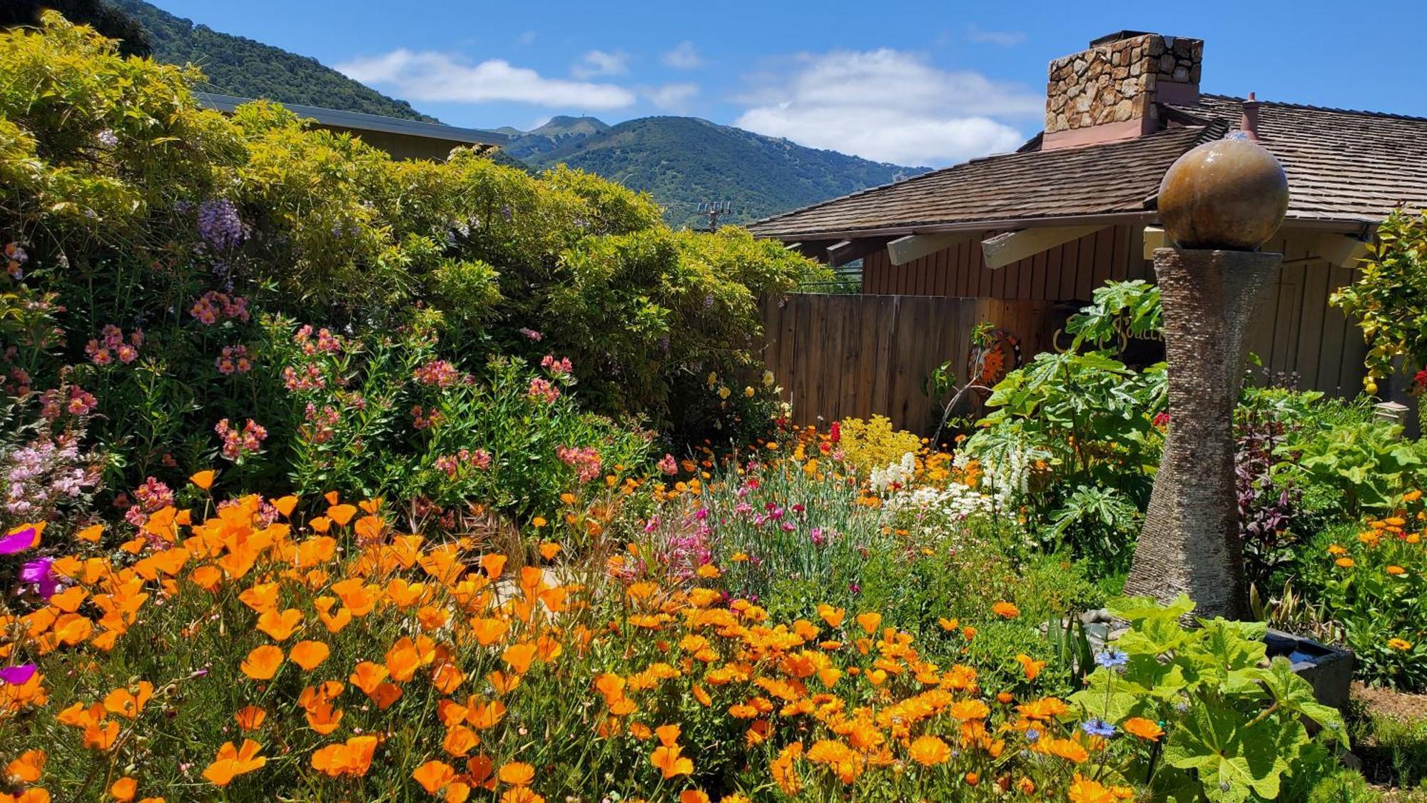 Carmel Valley Lodge Eksteriør billede
