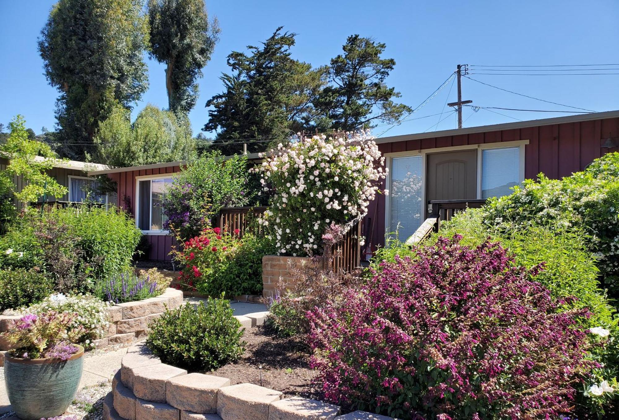Carmel Valley Lodge Eksteriør billede